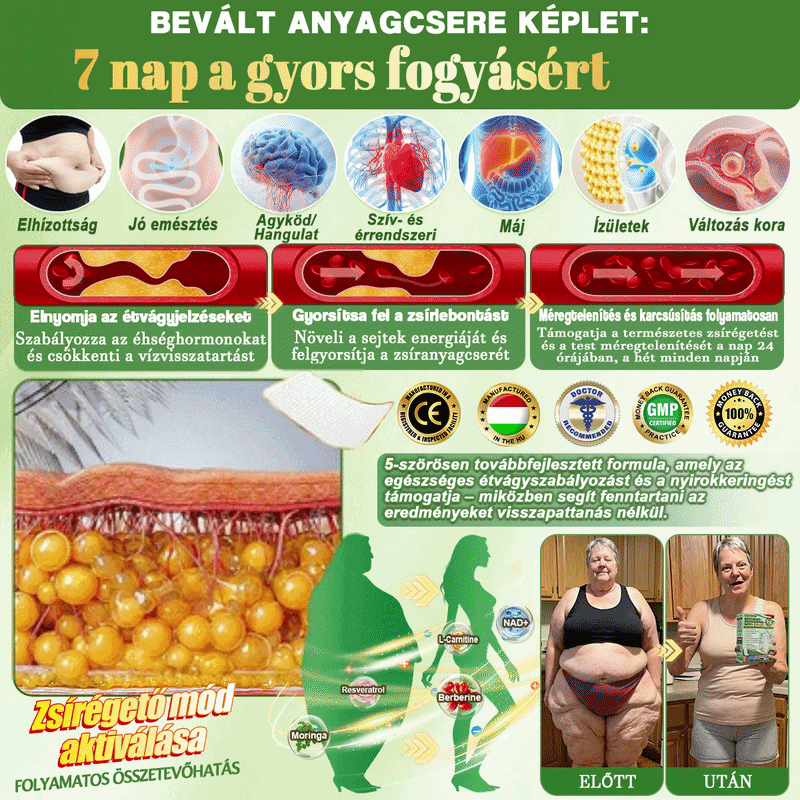 ✨[𝟐𝟎𝟐𝟔 Ú𝐉 & 𝐭𝐨𝐯á𝐛𝐛𝐟𝐞𝐣𝐥𝐞𝐬𝐳𝐭𝐞𝐭𝐭: 𝟖𝟎% 𝐊𝐄𝐃𝐕𝐄𝐙𝐌É𝐍𝐘] 𝐃𝐑.𝐇𝐎𝐍𝐎𝐑® 𝐧𝐲𝐢𝐫𝐨𝐤𝐝𝐫𝐞𝐧á𝐳𝐬 𝐟𝐨𝐠𝐲𝐚𝐬𝐳𝐭ó 𝐧𝐚𝐧𝐨-𝐦𝐢𝐤𝐫𝐨𝐭ű𝐬 𝐭𝐚𝐩𝐚𝐬𝐳:  𝐭á𝐦𝐨𝐠𝐚𝐭𝐣𝐚 𝐚 𝐟𝐨𝐠𝐲á𝐬𝐭 é𝐬 𝐚 𝐧𝐲𝐢𝐫𝐨𝐤𝐤𝐞𝐫𝐢𝐧𝐠é𝐬𝐭 𝐚𝐳 í𝐳ü𝐥𝐞𝐭𝐢 𝐤𝐨𝐦𝐟𝐨𝐫𝐭𝐛𝐚𝐧, 𝐣𝐨𝐛𝐛 𝐚𝐥𝐯á𝐬𝐛𝐚𝐧, 𝐦𝐞𝐧𝐭á𝐥𝐢𝐬 𝐭𝐢𝐬𝐳𝐭𝐚𝐬á𝐠𝐨𝐭